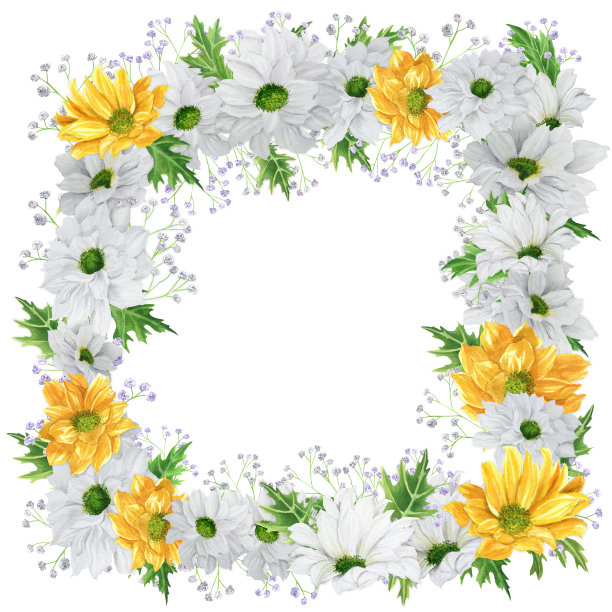 手绘水彩方框，白色和黄色的菊花与吉卜草图片下载