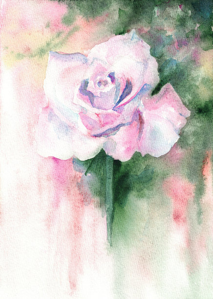 创造性的抽象玫瑰绘画。水彩流动颜料图片下载