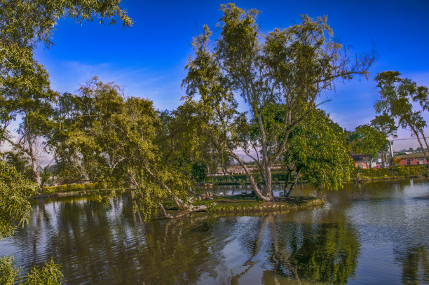 带湖的花园景观图片下载