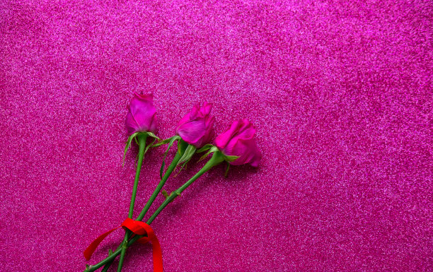 玫瑰花在洋红色的背景与闪闪发光。2023年流行色。图片下载