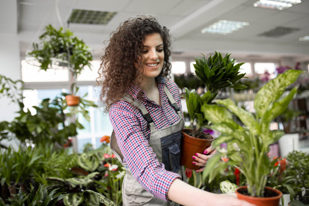 在花店工作的年轻女工图片下载