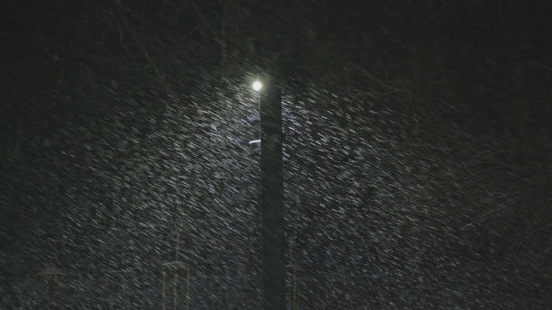 在冬季暴风雪中，夜晚的路灯在雪花中投射出明亮的光图片下载