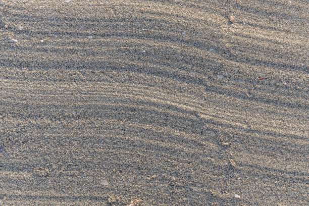 照片中是美丽的黄沙与波浪和贝壳的水平纹理图片下载