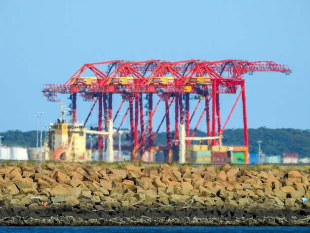 港口植物鹤图片下载