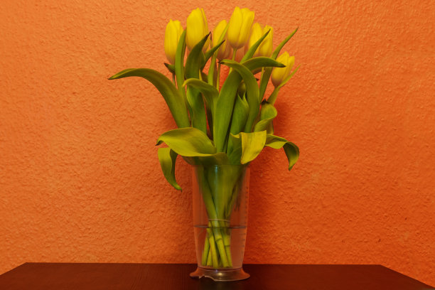 桌上的花瓶里插着一束黄色的郁金香图片下载