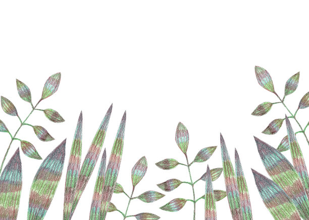 草甸上的植物用彩色铅笔在白色背景上手绘图片下载