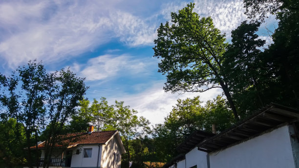房子被自然的绿色植物包围图片下载