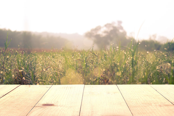 木桌和草地上的雾气和露水图片下载