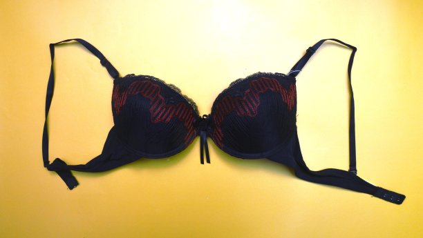 文胸内衣图片下载