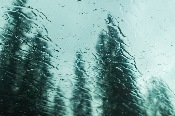 在树木茂密的山林里，雨滴落在汽车玻璃上图片下载