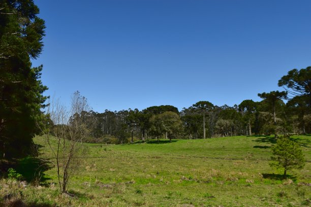 圣卡塔琳娜风景照片摄影图片