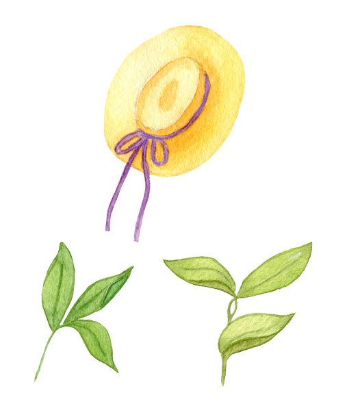 水彩女子帽子与丝带和绿叶。丝带遮阳帽。夏季明信片设计。图片下载