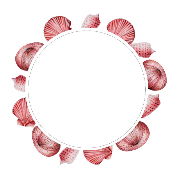 水彩框架与贝壳。手绘剪纸水下生活对象在一个白色孤立的背景。为设计师，装饰，明信片，包装纸，剪贴簿，封面，请柬，婚礼设计，海报和纺织品图片下载