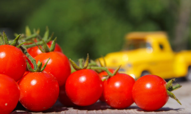 选择性聚焦拍摄圣女果，背景上有模糊的复古黄色卡车图片下载