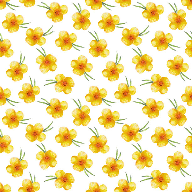 水彩无缝图案花在白色的背景。图片下载