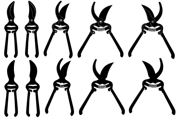 收集不同的修剪剪图片下载