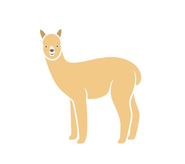 羊驼标志。白色背景上孤立的羊驼图片下载