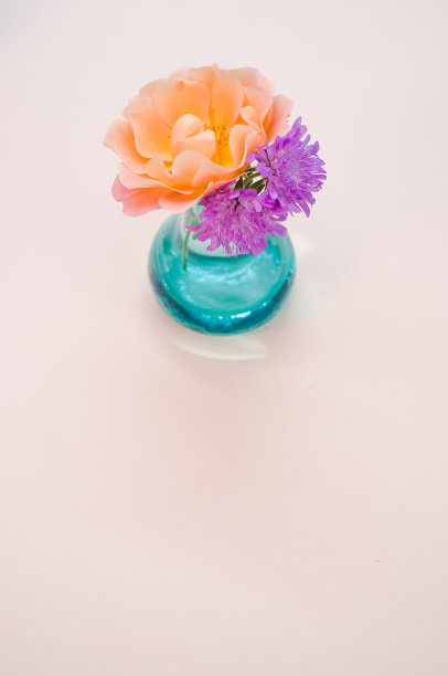 美丽的橘色花园玫瑰和紫色花朵在花瓶上，米色背景图片下载