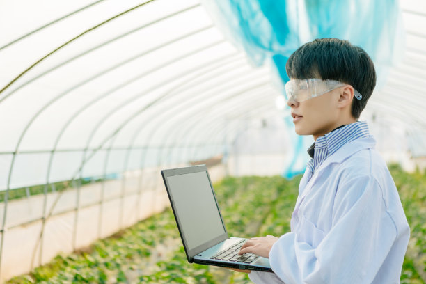 一位男性植物学家用笔记本电脑研究和检查草莓园的种植情况图片下载