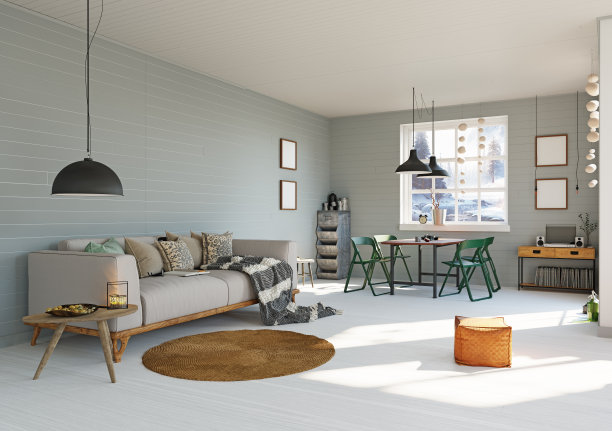 舒适的沙发在斯堪的纳维亚现代客厅图片下载