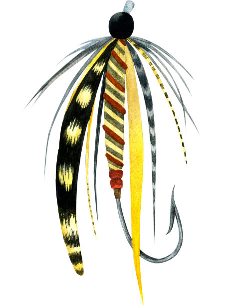 带有明亮羽毛的飞鱼饵。图片下载