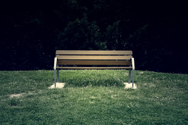 森林里的木凳图片下载