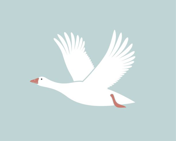 鹅的标志。孤立的白底鹅。鸟图片下载