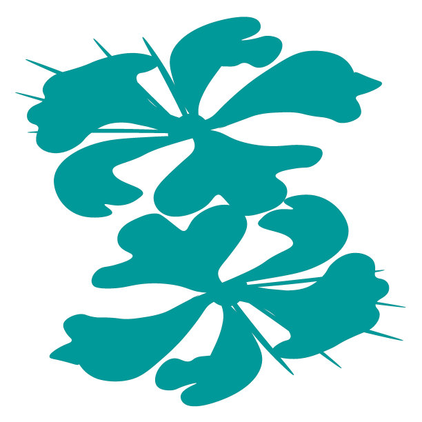 抽象的花朵，时髦的植物。收藏不同风格的花卉。矢量插图孤立在白色背景上。抽象极简，花卉元素，复古70年代风格的花，彩色粉彩，颜色千年虫自然。图片下载