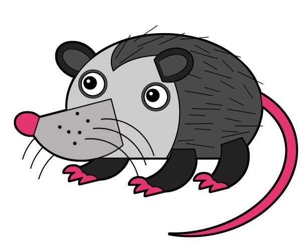 卡通美国场景与快乐和有趣的负鼠在白色背景-插图图片下载