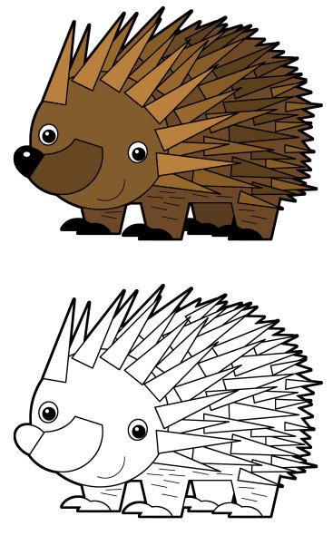 卡通素描绘制澳大利亚场景与快乐和有趣的针鼹刺猬在白色背景-插图图片下载