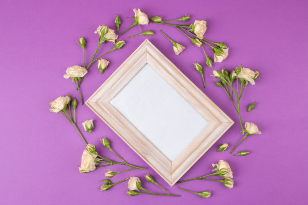 漂亮的迷你玫瑰和明亮的淡紫色背景的相框。假期。情人节。妇女节。从上面看。图片下载