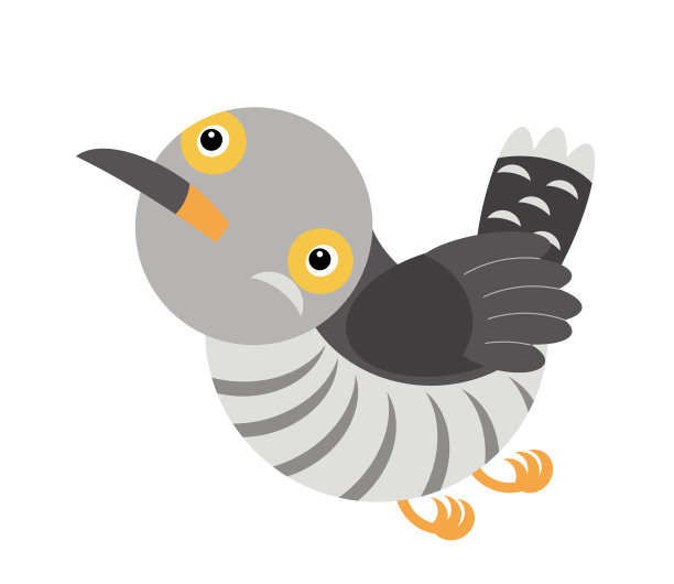 卡通布谷鸟彩色白色背景-插图图片下载
