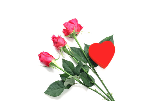 白色背景上的红色爱心和玫瑰花图片下载