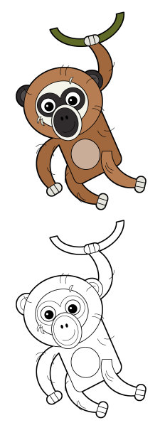 卡通速写本亚洲场景与美国动物猴长臂猿在白色背景插图图片下载