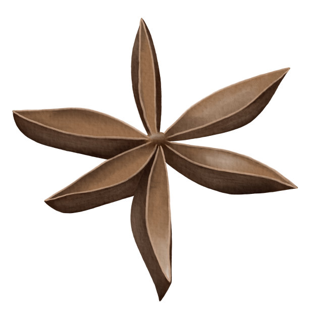 香调味八角，孤立绘制水彩插图。图片下载