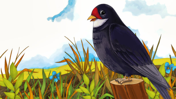 卡通场景，布谷鸟坐在大自然插图图片下载