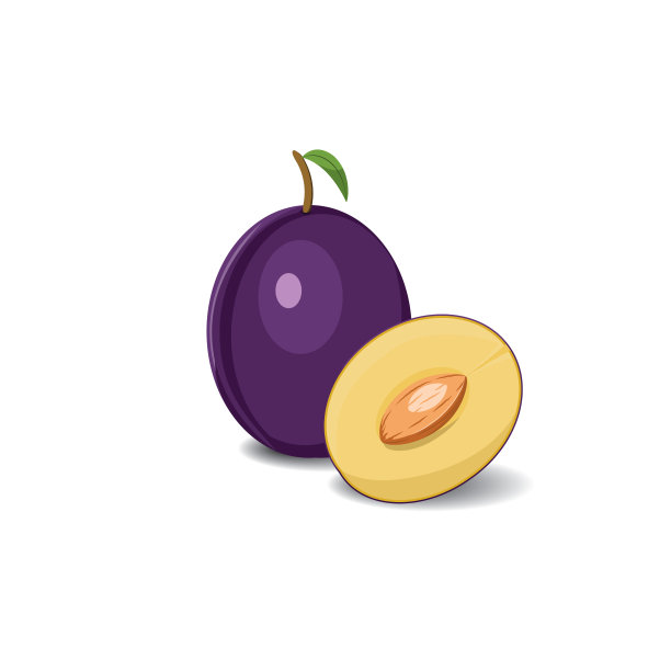 李子卡通果。素食有机生态产品。矢量图图片下载