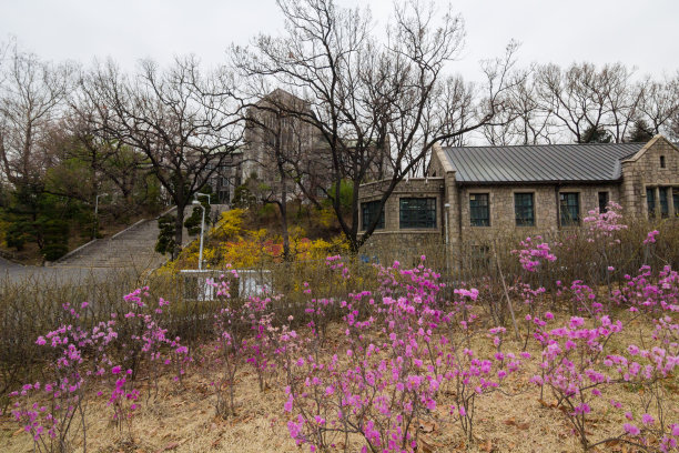韩国大贤洞女子大学图片下载