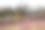 韩国大贤洞女子大学图片下载