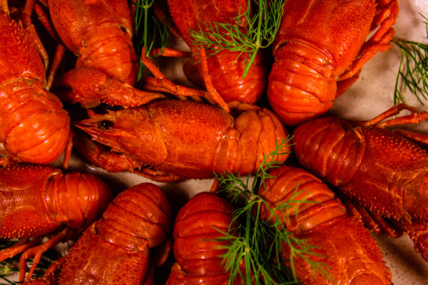 背景是新鲜的红煮小龙虾图片下载