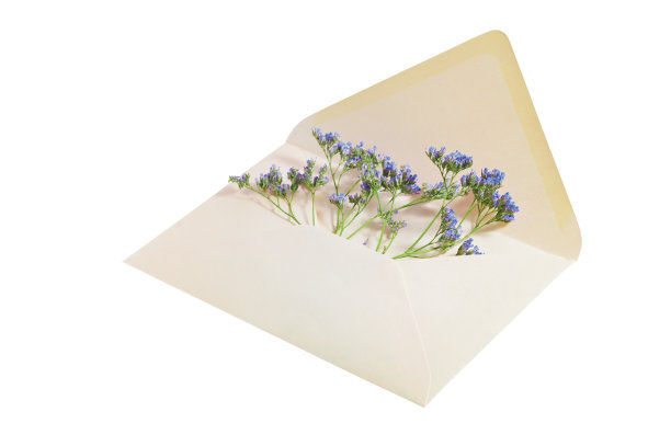 打开信封的天然米色纸，几朵蓝色的花在它作为祝贺问候或爱的象征节日，如情人节，生日，母亲节或父亲节，孤立在白色图片下载