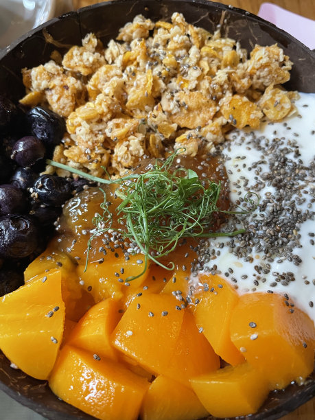 奇亚籽碗与新鲜的蓝莓，杏果，植物，酸奶，果酱和脆麦片库存照片图片下载