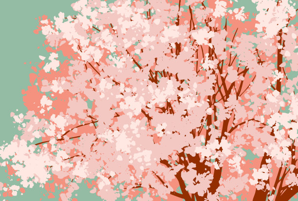 美丽的樱桃树的插图图片下载