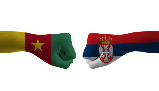 塞尔维亚VS喀麦隆手旗男子手图案足球世界杯图片下载
