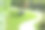 美丽的公园，有绿色的草坪，植物和人行道在阳光明媚的日子图片下载