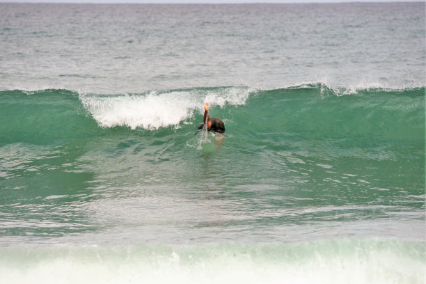 在阿曼冲浪图片下载
