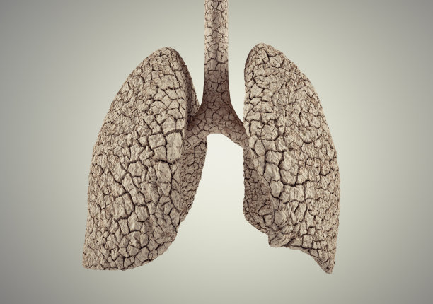 肺是由干燥的土地构成的。癌症和健康概念图片下载