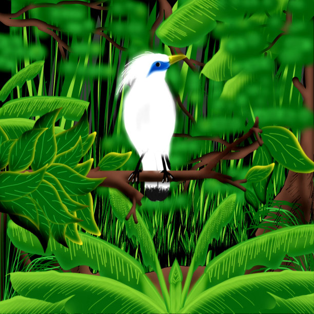 巴厘八哥特有病图片下载