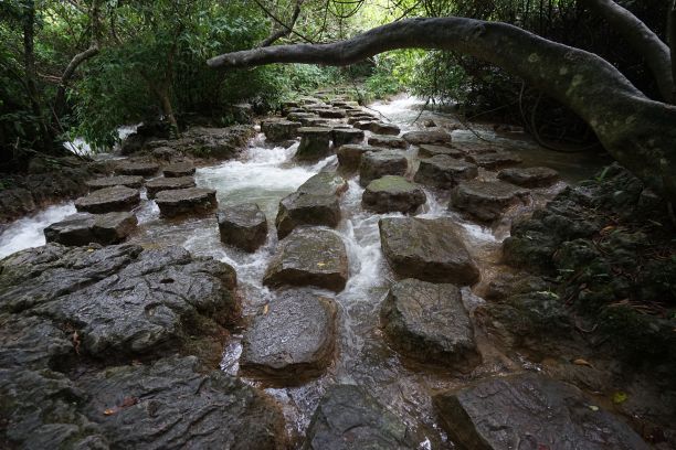 中国贵州森林中的河流，完美的壁纸和背景图片下载