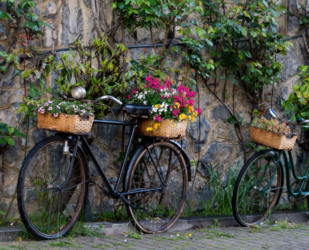 沿街的旧自行车上装饰着五颜六色的花朵图片下载